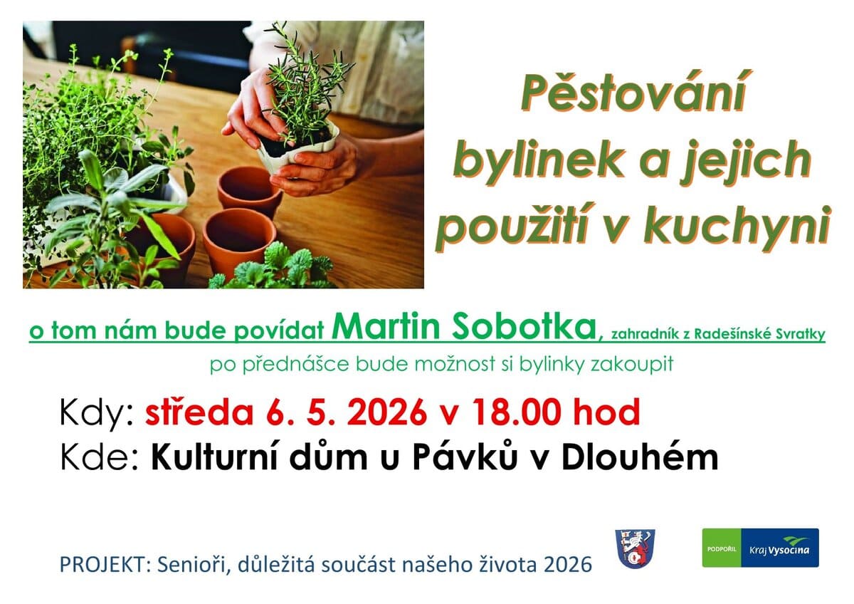 Pěstování bylinek a jejich použití v kuchyni