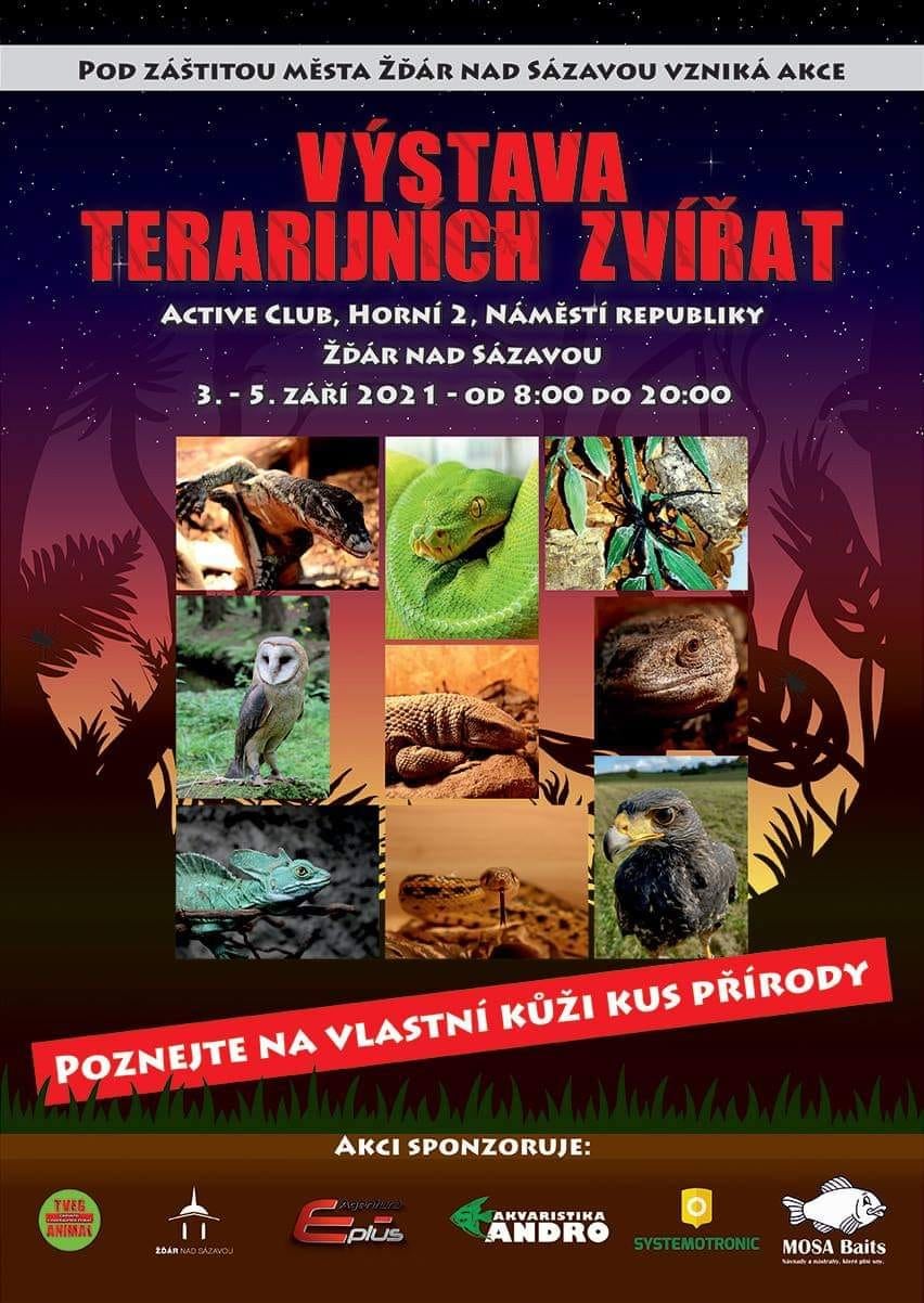 Výstava terarijních zvířat 2021