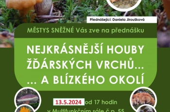 Aktuality - Nejkrásnější houby Žďárských vrchů... a blízkého okolí  