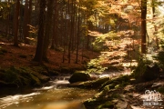 Podzimní údolí řeky Doubravy