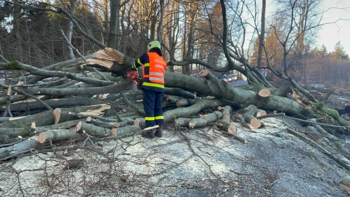 Vysočinu sužuje silný vítr, hasiči odklízejí popadané stromy - 1170 x 658