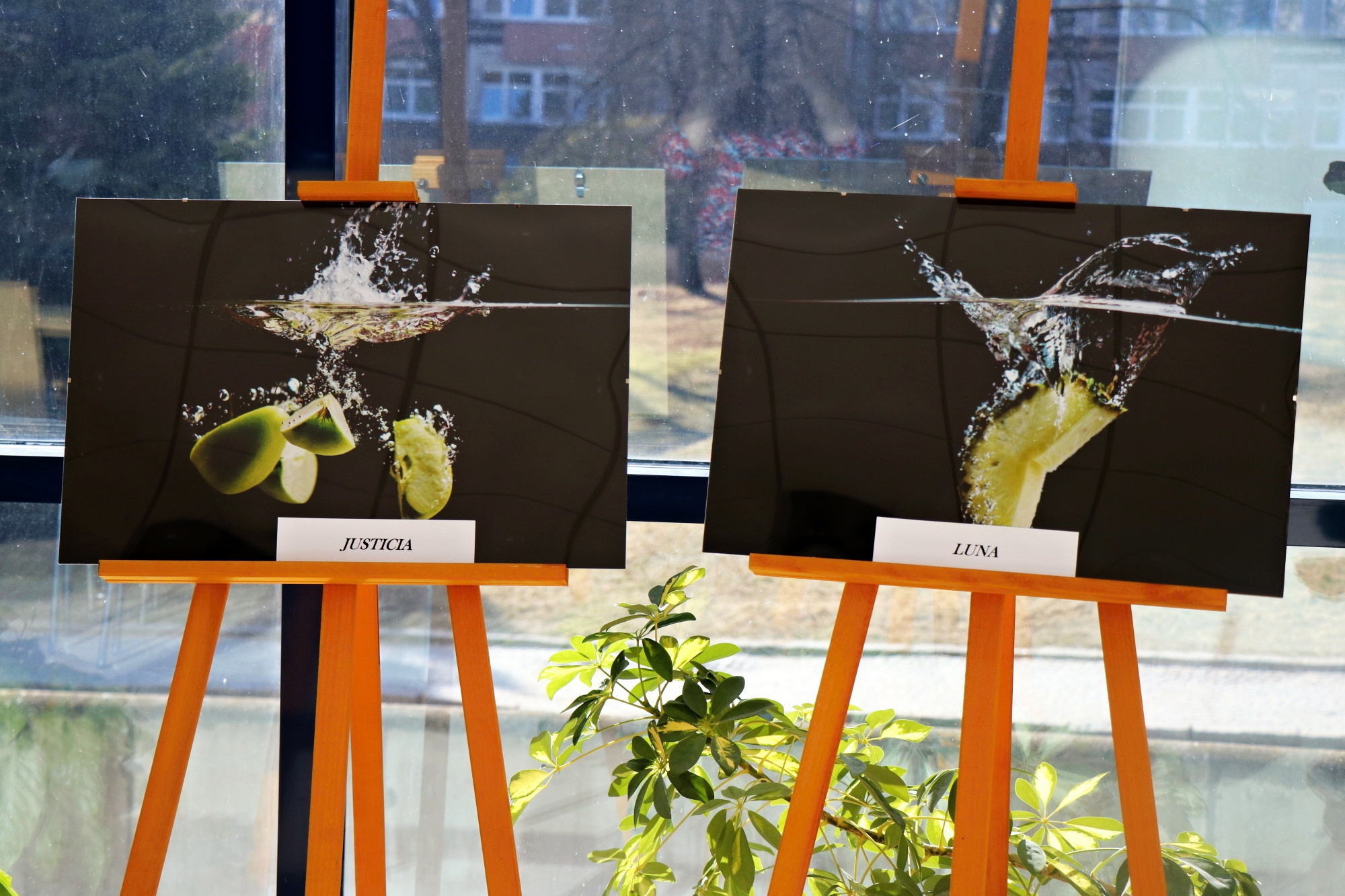 Prostory v chirurgickém pavilonu oživuje studentská fotografie  - 2000 x 1333 