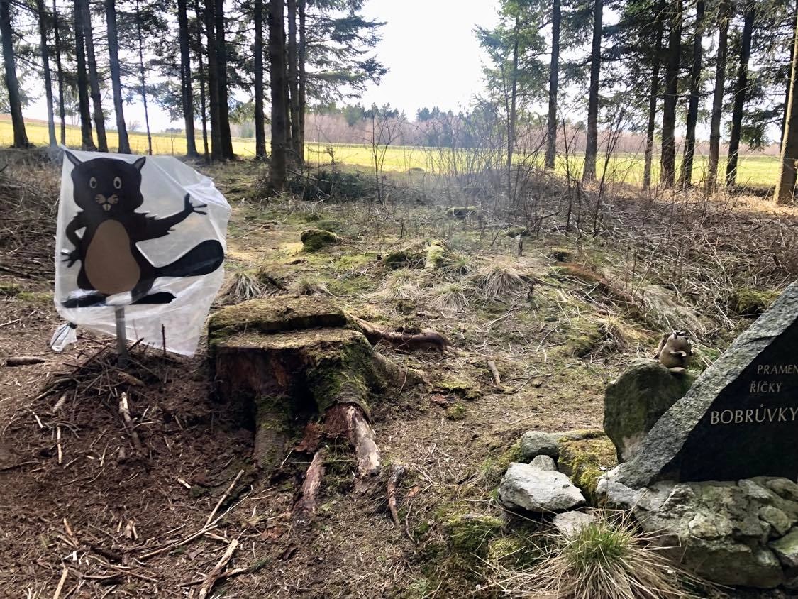 Bobrůvka, Strážkovský potok i Loučka. Jedna řeka se třemi jmény. Její pramen hlídají dva bobři - 1125 x 844