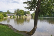 Milovský rybník 