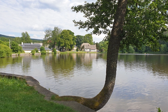 Milovský rybník  - 2000 x 1125
