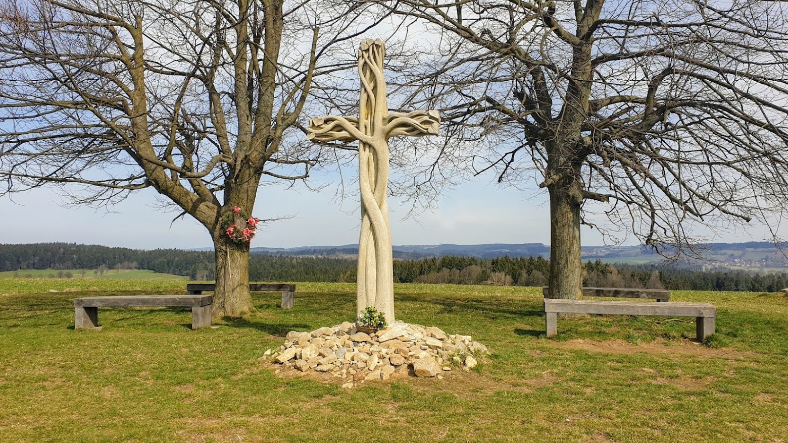 Strom života