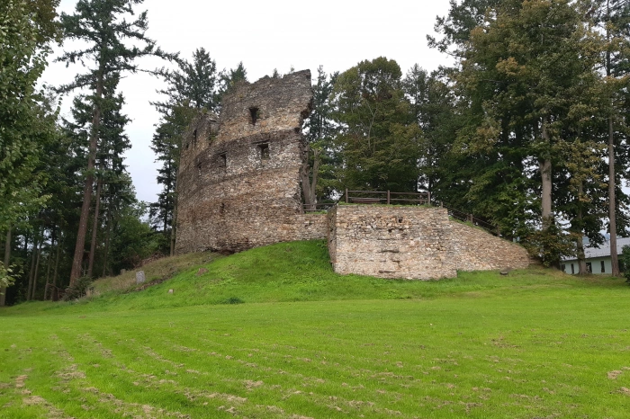 Zřícenina hradu Dalečín - 4608 x 3456