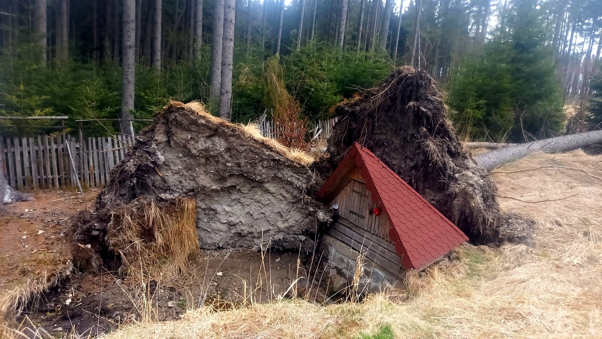 Švarcova studánka