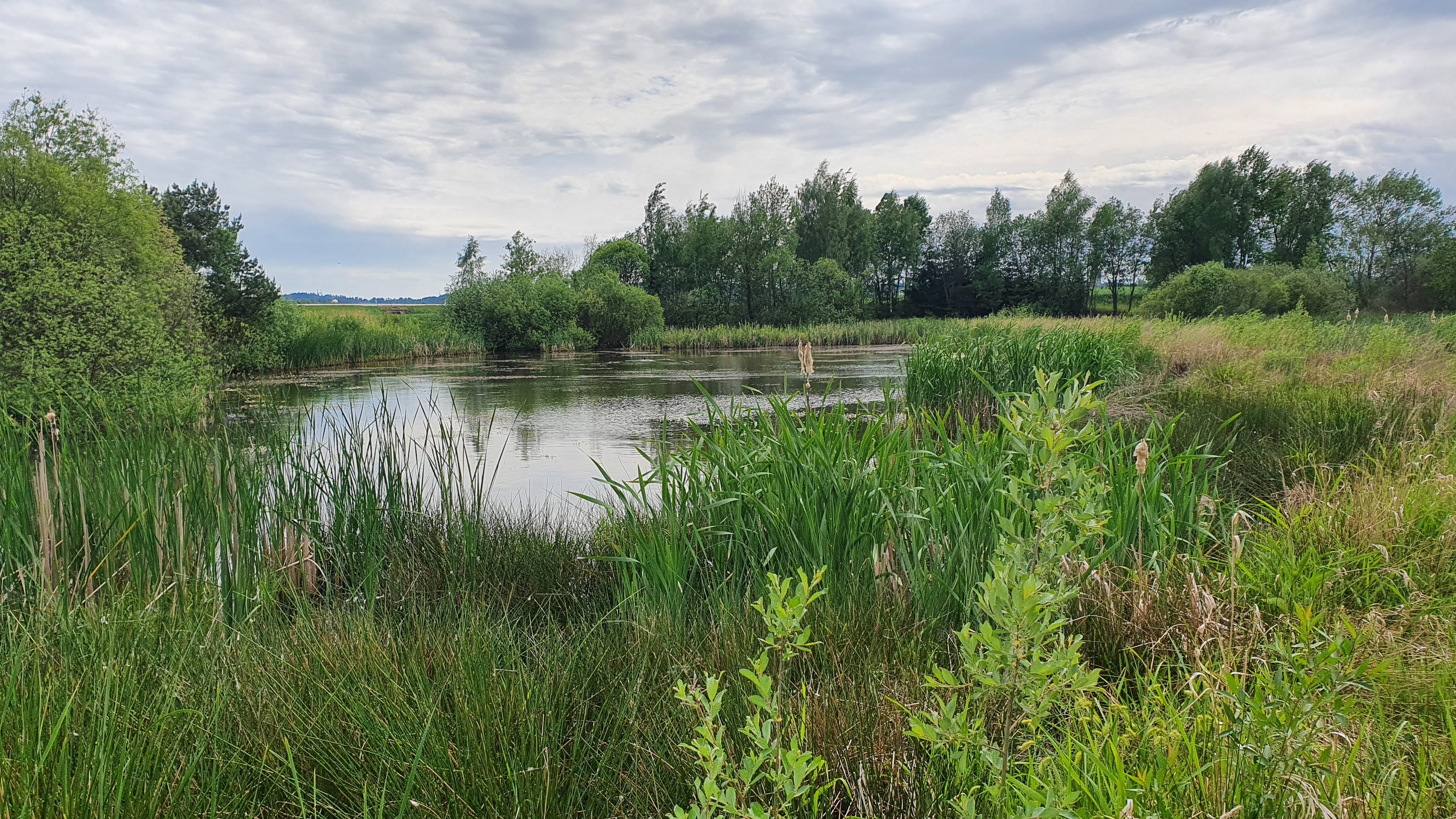 Laguna u Bohdalova