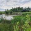 Laguna u Bohdalova